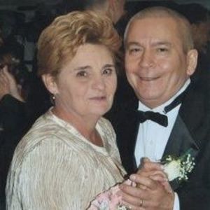 Meet your Posher, Kitty